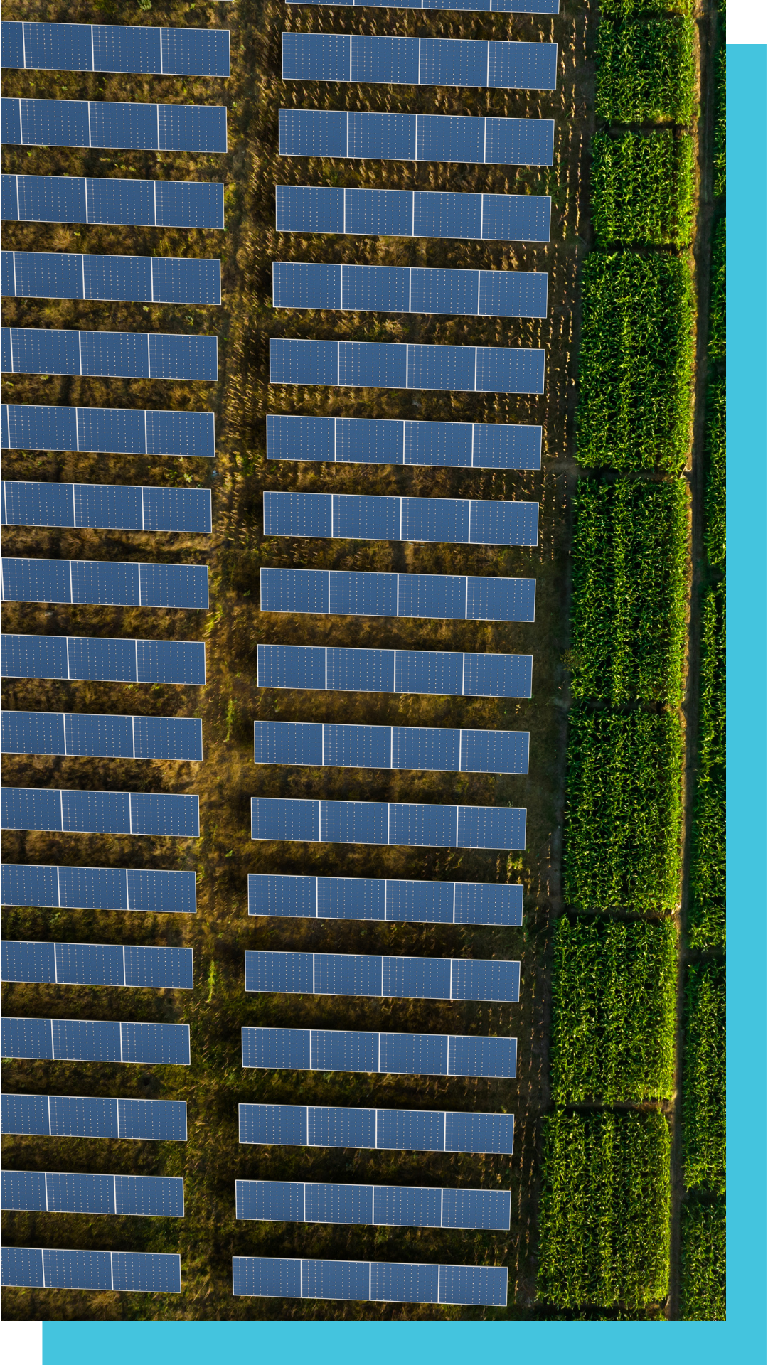 Solar farm