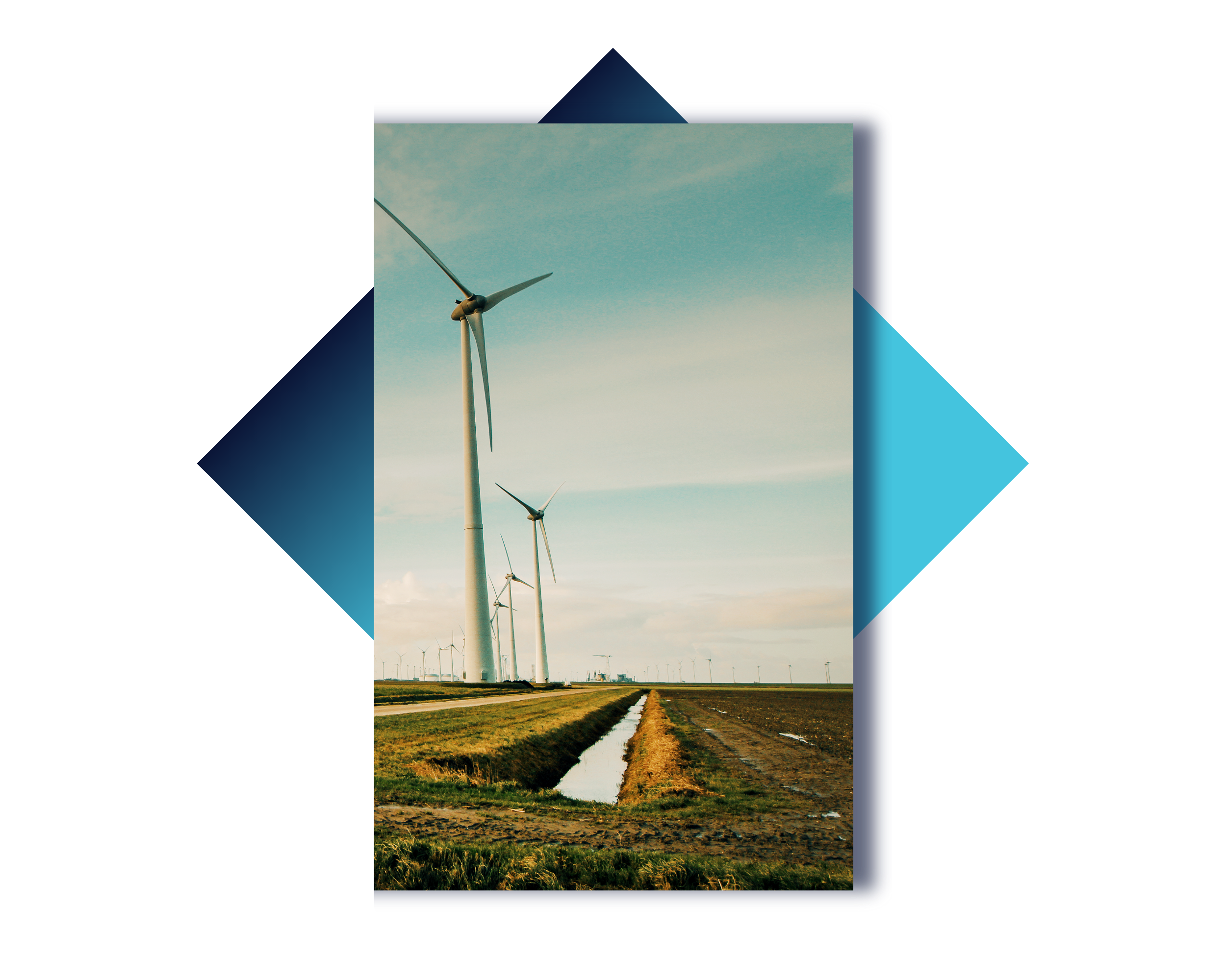 Clir Associate Page Image 3