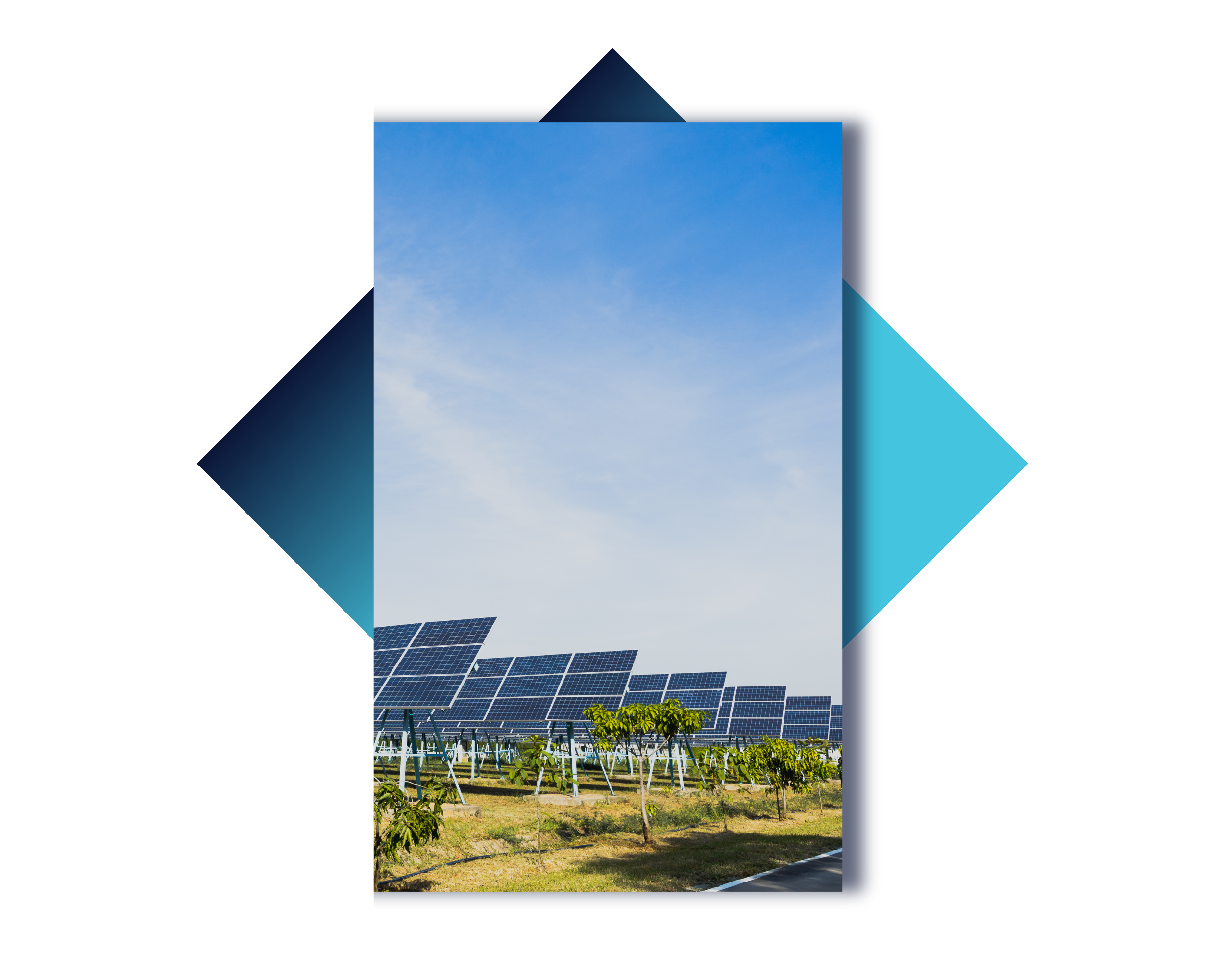 Clir Associate Page Image 5