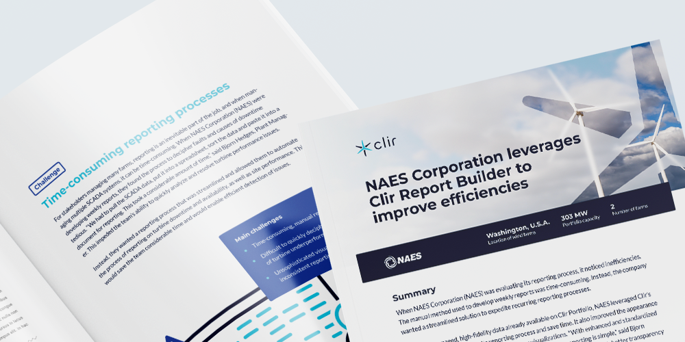 NAES Corporation case study